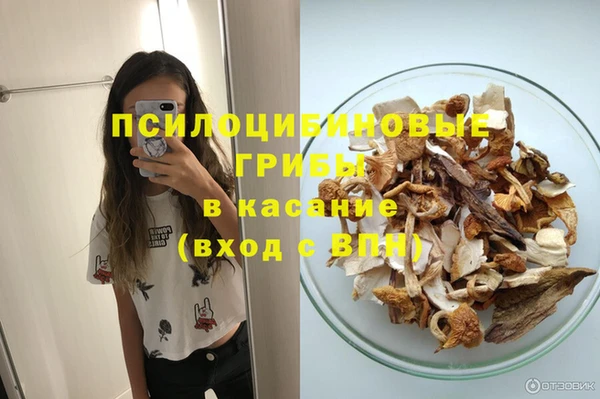 шишки Нефтегорск