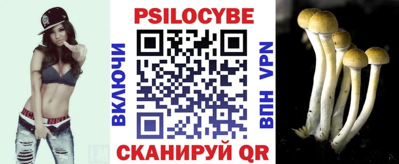 Галлюциногенные грибы мицелий  Тырныауз 